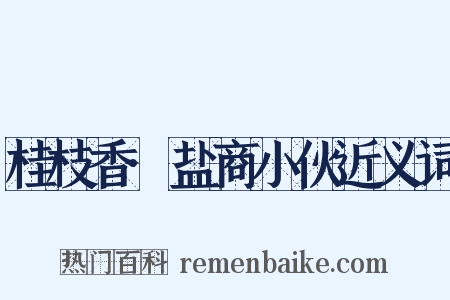 桂枝香·盐商小伙近义词是什么意思的图片